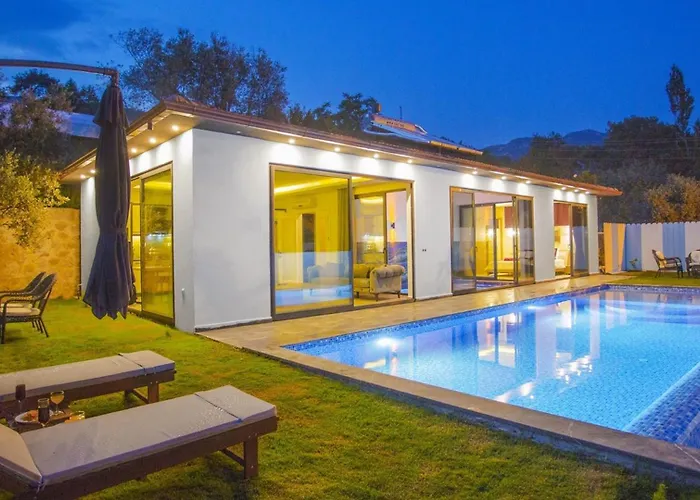 Islamlar Village 1 Bedroom Private Pool And Garden 别墅 卡尔坎